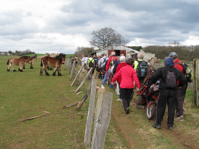 randonnée sportive avec joëlettes, Bure, 2012